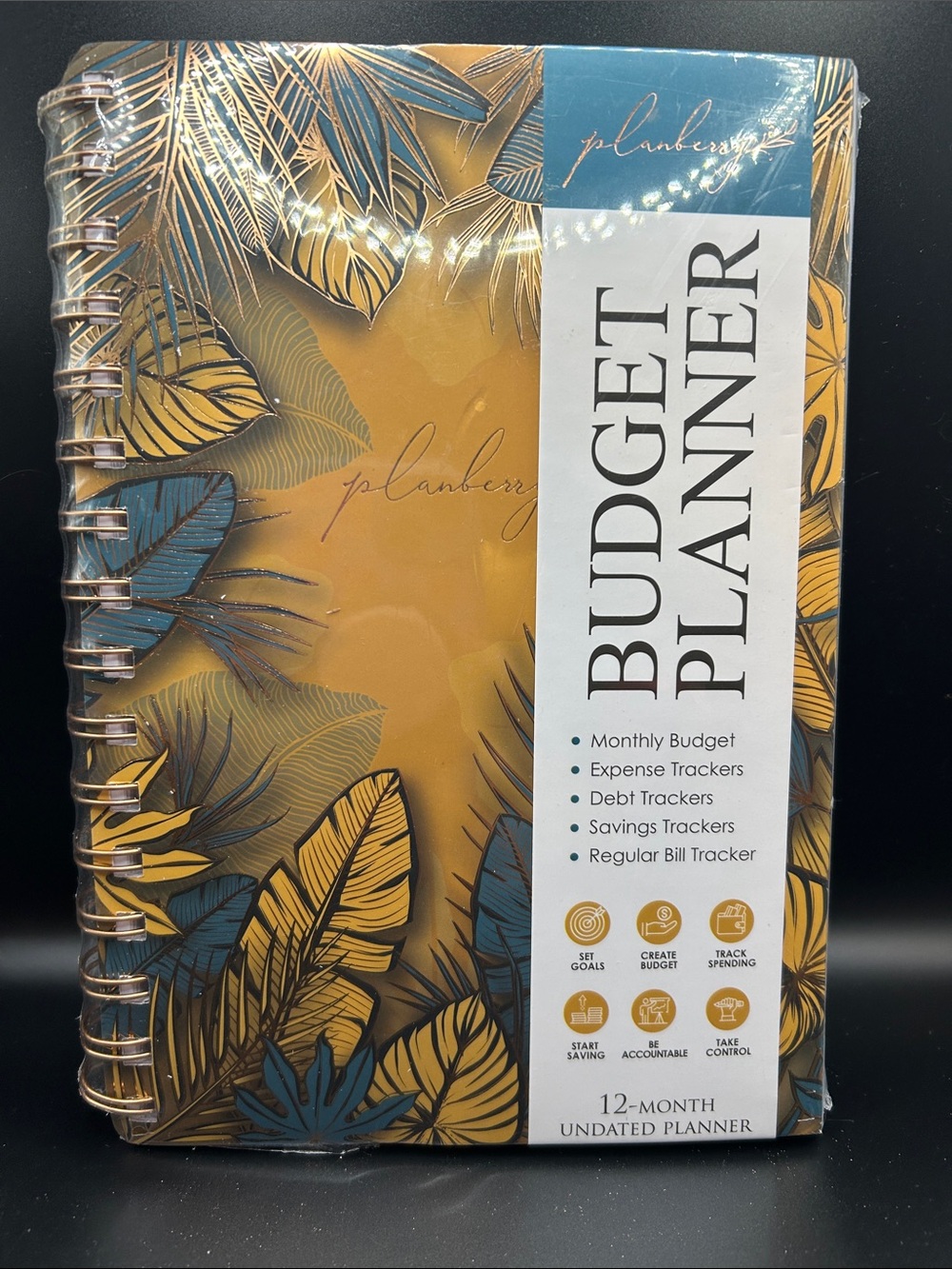 Planberry Budget Planner 12 Month Undated Planner NEW Monthly budget